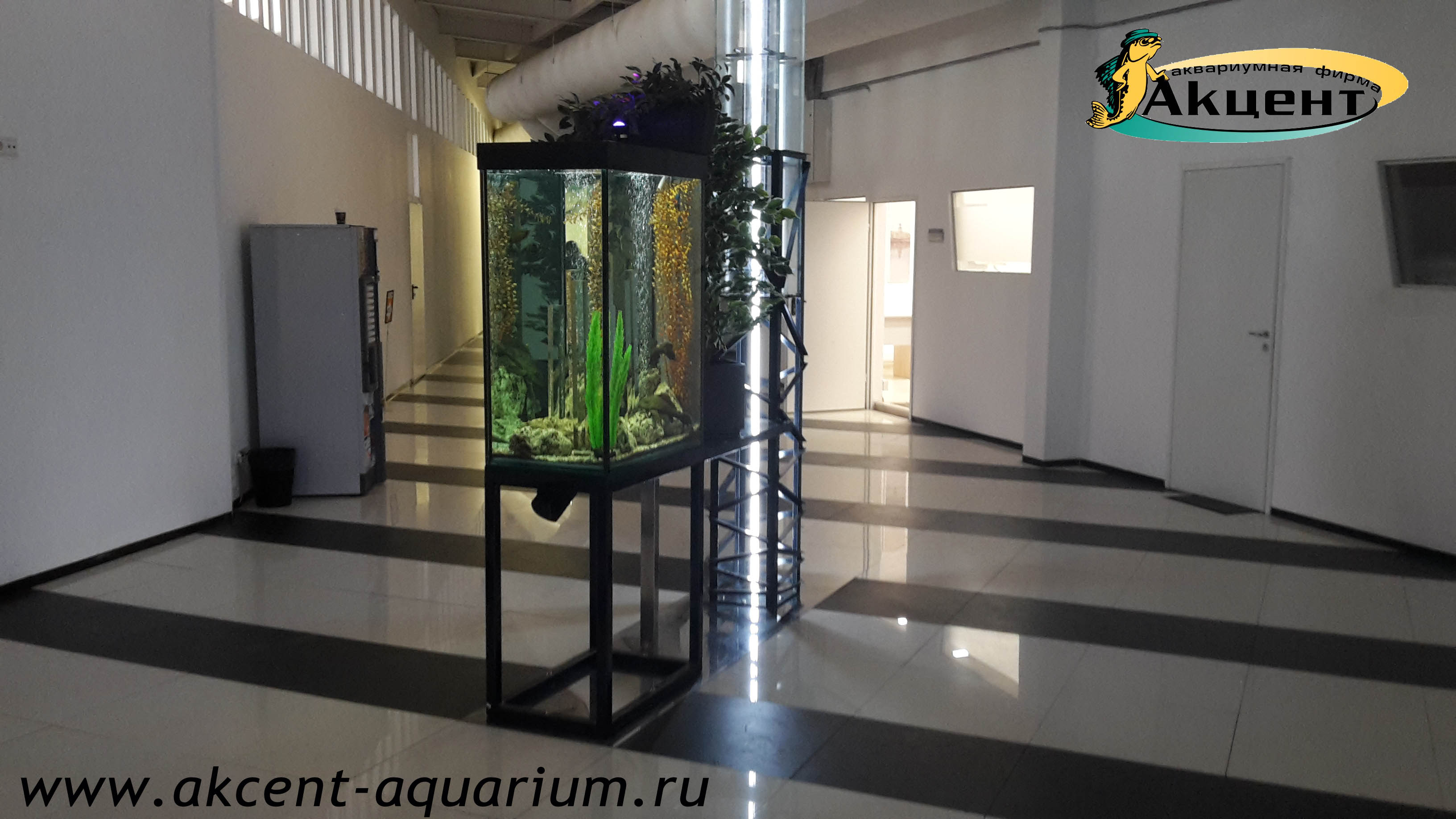 Акцент-аквариум, аквариум 300 литров просмотровый со всех сторон